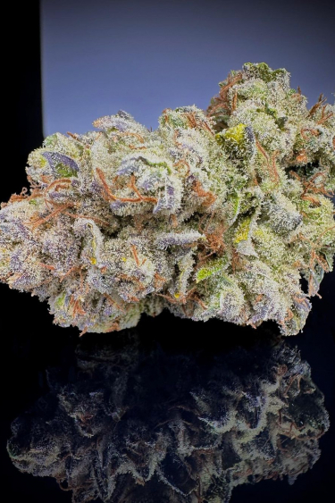 Instagram Strawberry Banana Auto