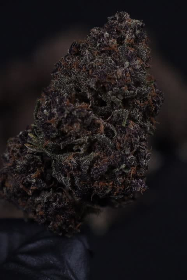 Instagram Banana Purple Punch Auto RF3