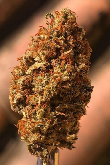 Instagram Mexican Airlines Auto