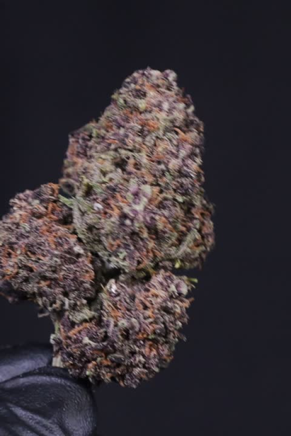Instagram Banana Purple Punch Auto RF3