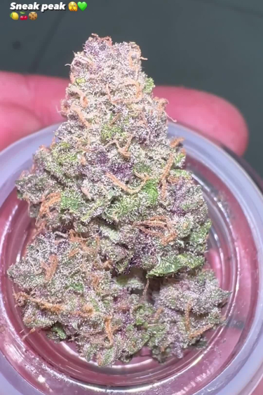 Lemon Cherry Cookies Auto