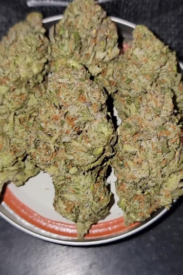 Papaya Cookies Auto™