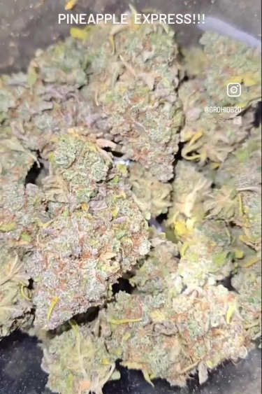 Instagram Pineapple Express Auto