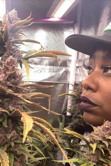 Instagram Purple Lemonade Auto