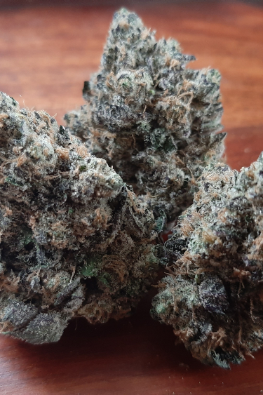 Instagram Rainbow Melon