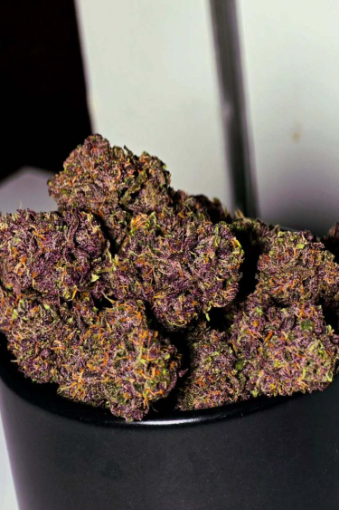 Instagram Purple Haze Auto