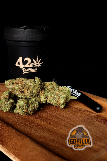 Instagram Gorilla Auto