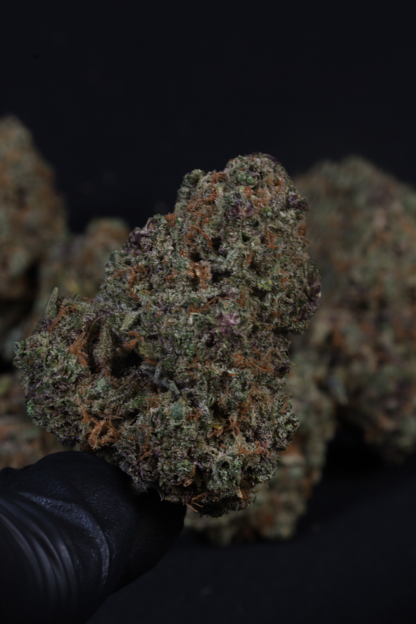 Instagram Cherry Cola Auto RF3