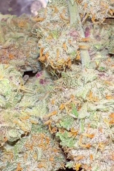 Gorilla Punch Auto
