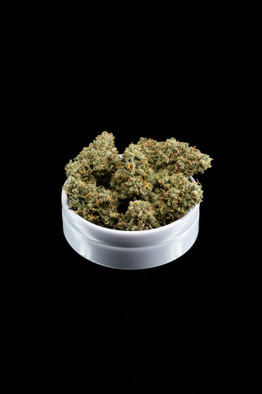 Instagram Rhino Ryder Auto