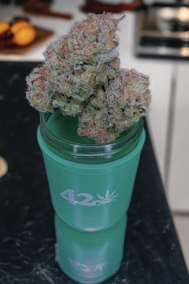 Instagram Strawberry Gorilla Auto