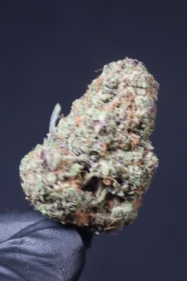 Instagram Cherry Cola Auto RF3