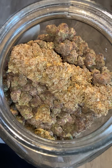 Forbidden Runtz Auto