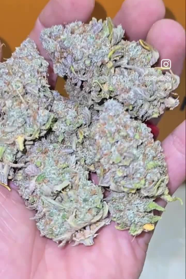 Pineapple Express Auto