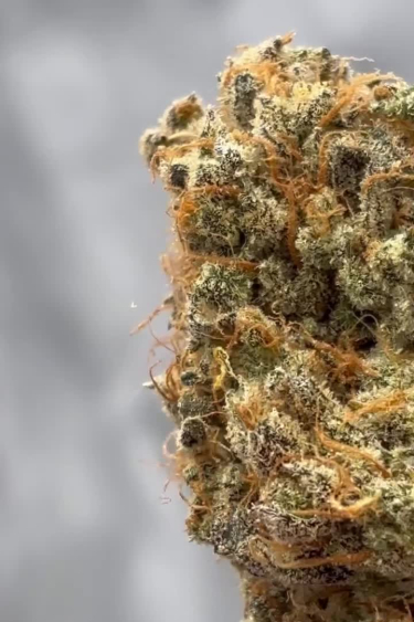 Papaya Cookies Auto™