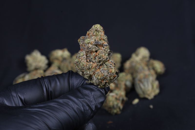 Instagram Guava Auto RF3