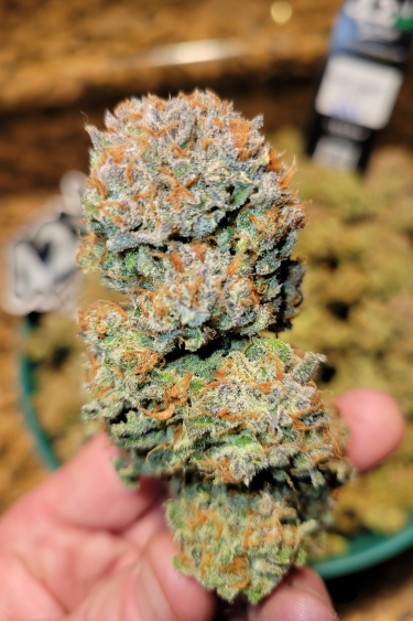 Instagram Pound Cake Auto