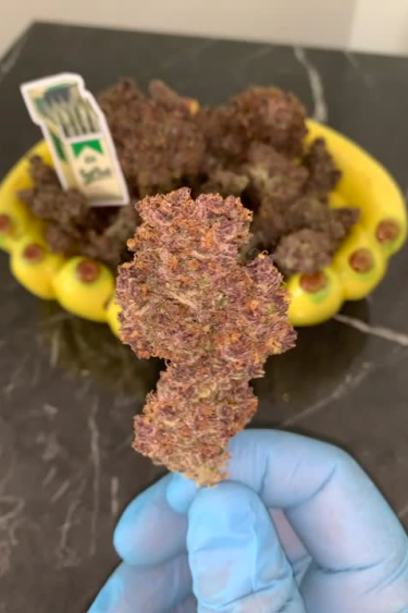 Banana Purple Punch Auto