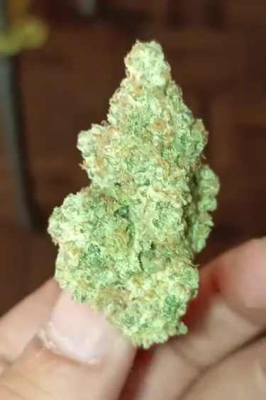 Instagram Strawberry Gorilla Auto