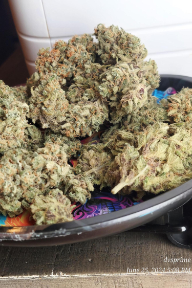 Instagram Trainwreck Auto