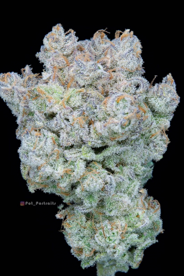 Instagram Strawberry Banana Auto