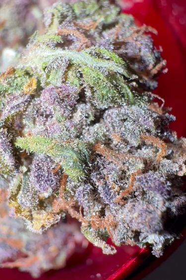 Lemon Cherry Cookies Auto