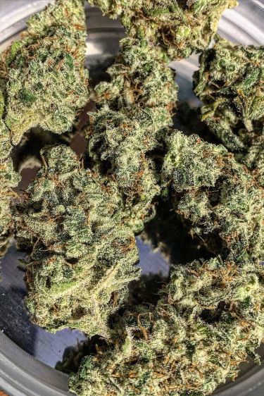 Instagram Bruce Banner Auto