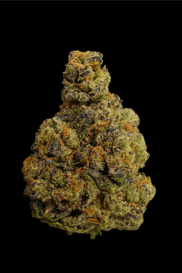 Instagram Gorilla Melon