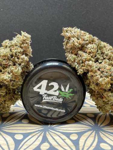 Instagram Mimosa Cake Auto