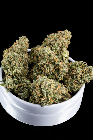 Instagram Rhino Ryder Auto