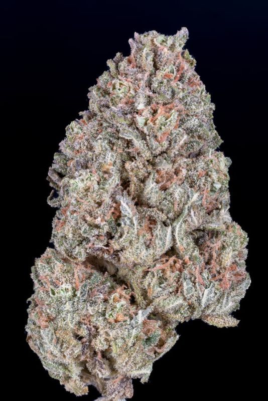 Instagram Mix Pack FF