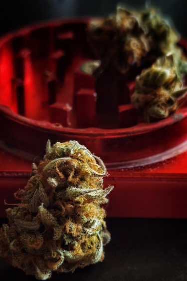 Instagram Cheese Auto