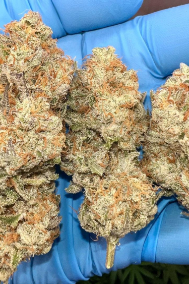 Instagram Ztrawberriez Auto