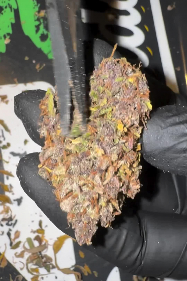 Lemon Cherry Cookies Auto