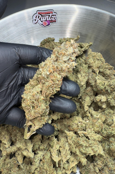 Instagram Forbidden Runtz Auto