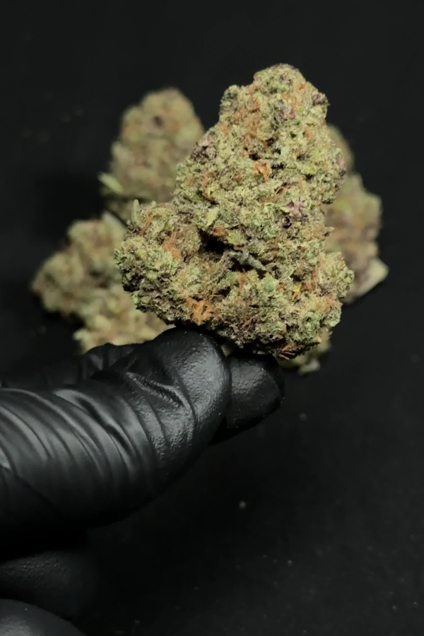 Instagram Cherry Cola Auto RF3