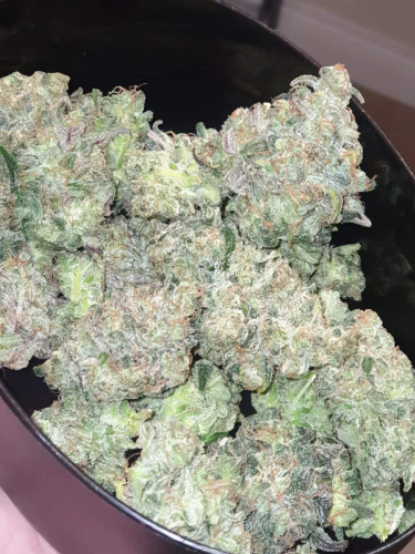 Instagram Gelato Auto