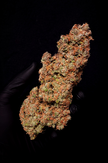 Instagram Pound Cake Auto