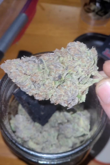 Instagram Rhino Ryder Auto