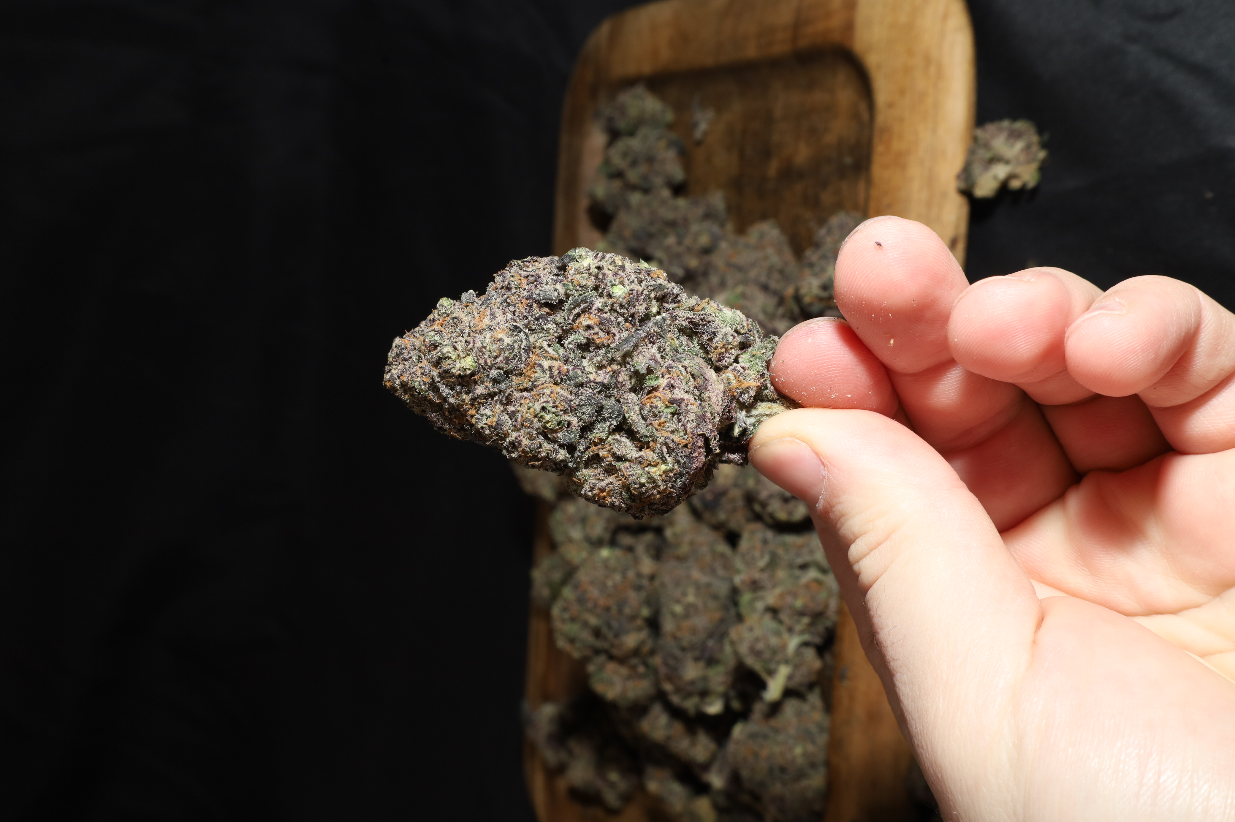 Lemon Cherry Runtz